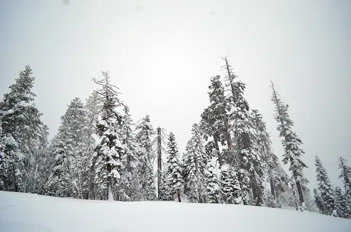 tahoe snow