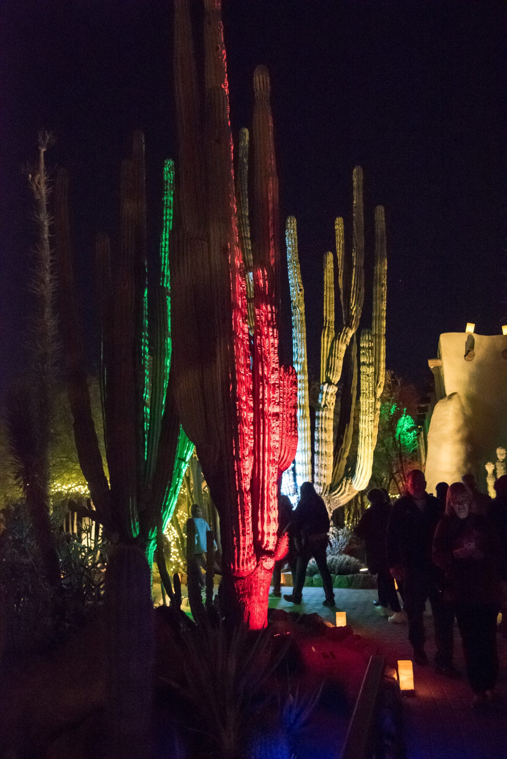 Things to do in Tempe The ULTIMATE Tempe Travel Guide for 2023