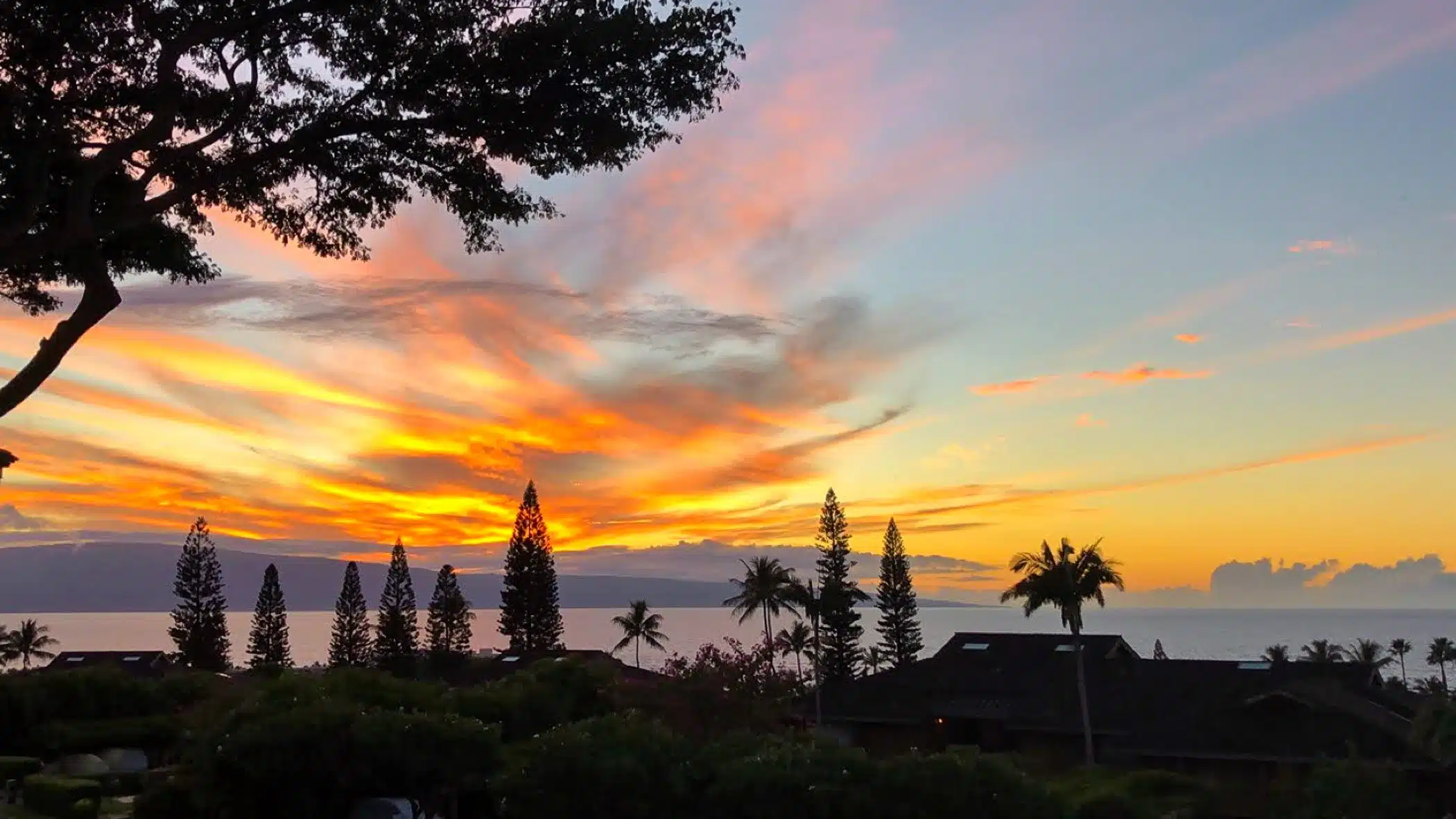 The Ultimate Maui Travel Guide featured by popular San Francisco travel blogger, What The Fab