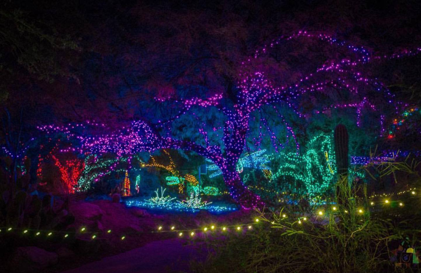 Things to do in Tempe The ULTIMATE Tempe Travel Guide for 2023