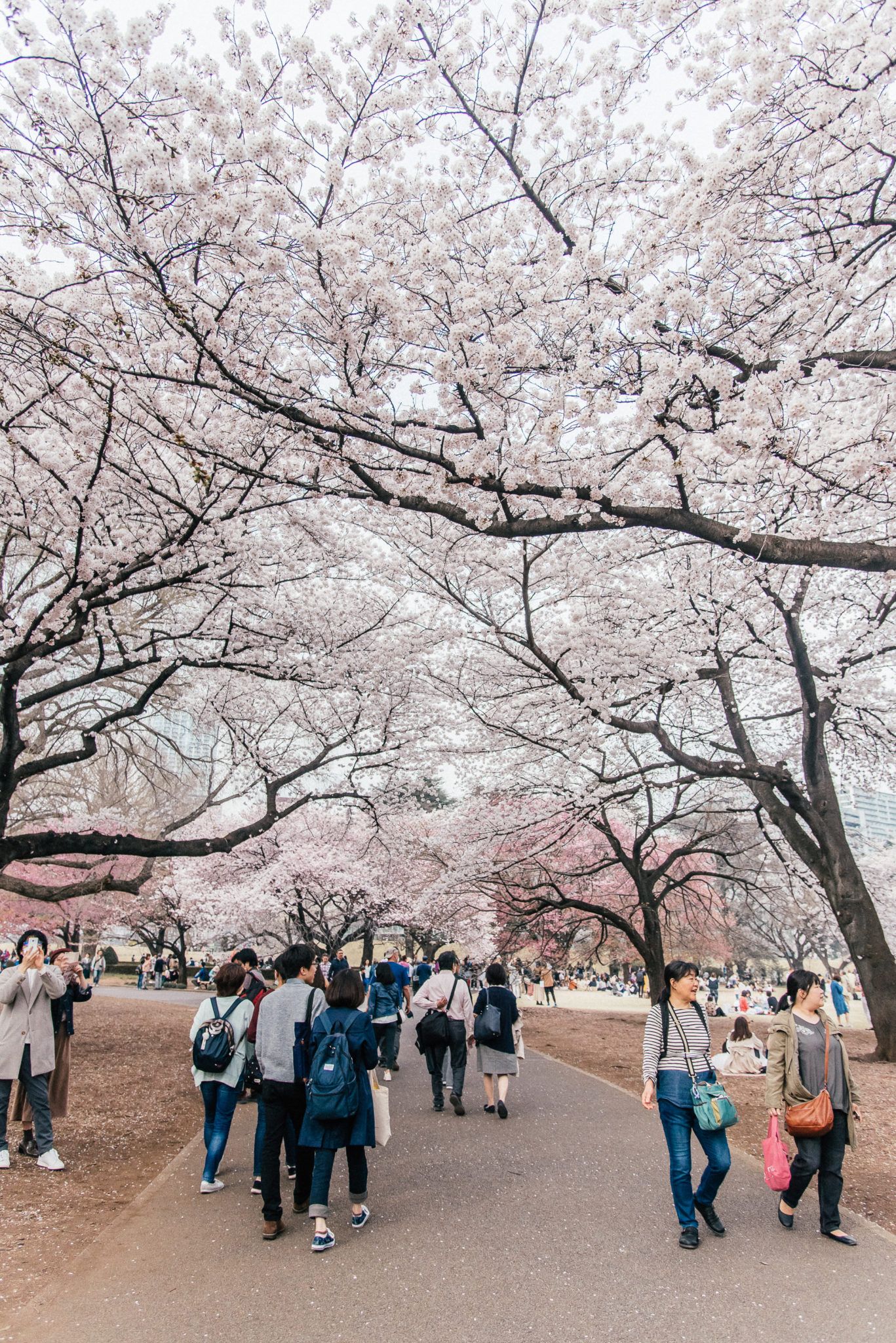 What to do in Tokyo, by travel blogger What The Fab