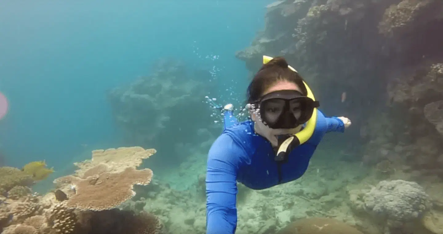 Great Barrier Reef Travel Video