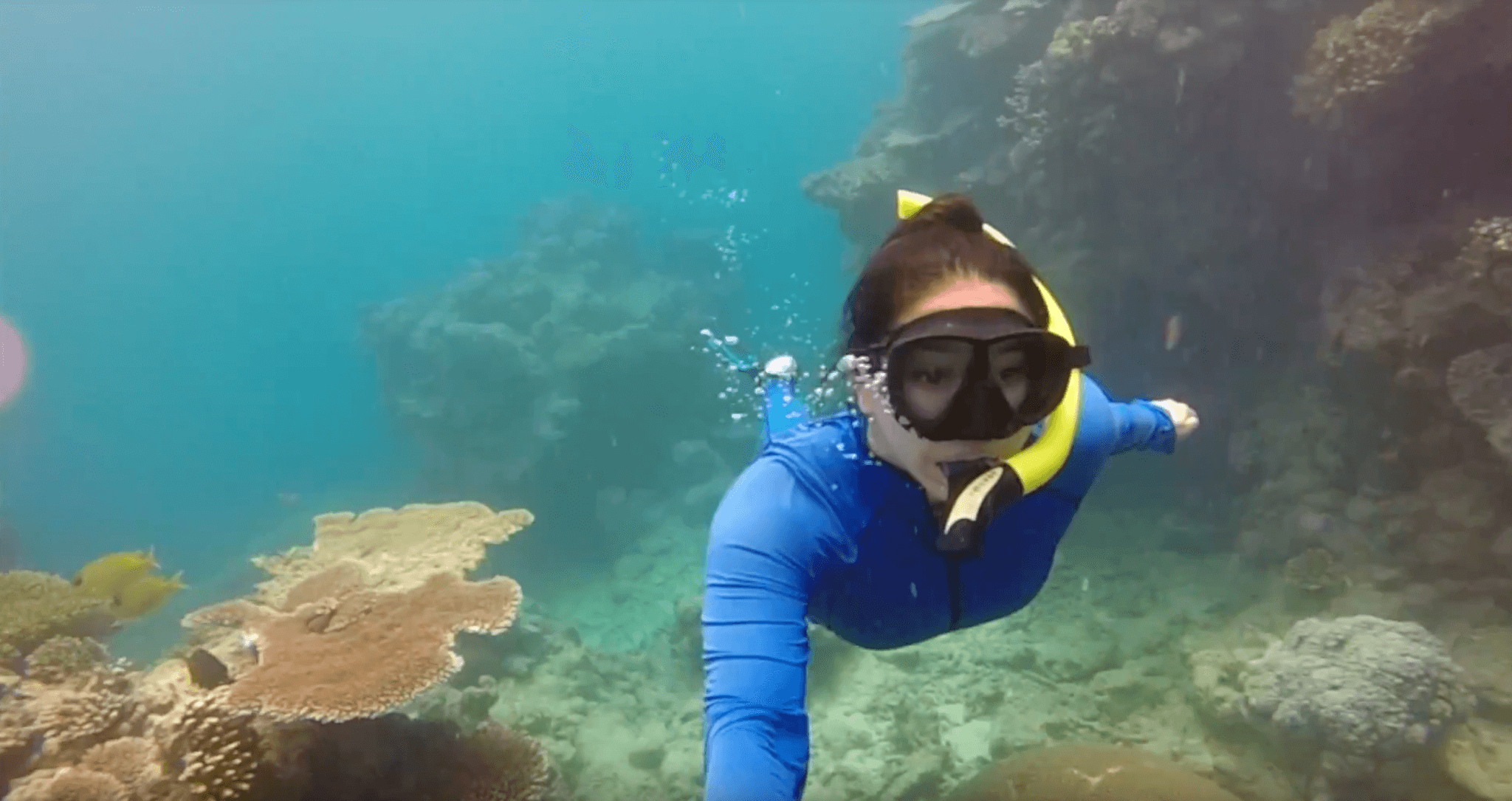Great Barrier Reef Travel Video featured by popular San Francisco travel blogger, WTFab