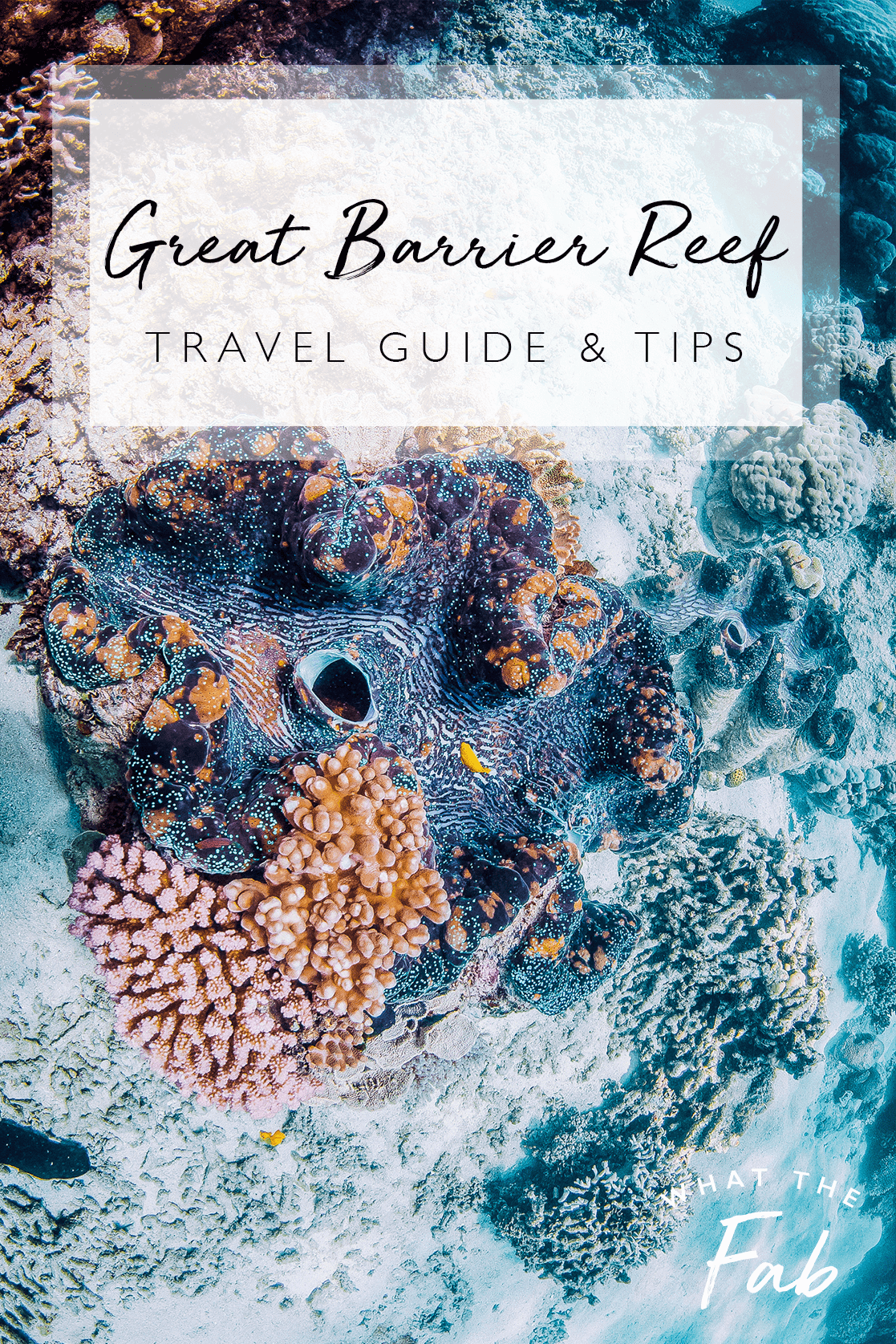 Vacation | Trip | Scuba | Bucket List | Cairns/Great Barrier Reef Travel Guide featured by top San Francisco travel blog What The Fab
