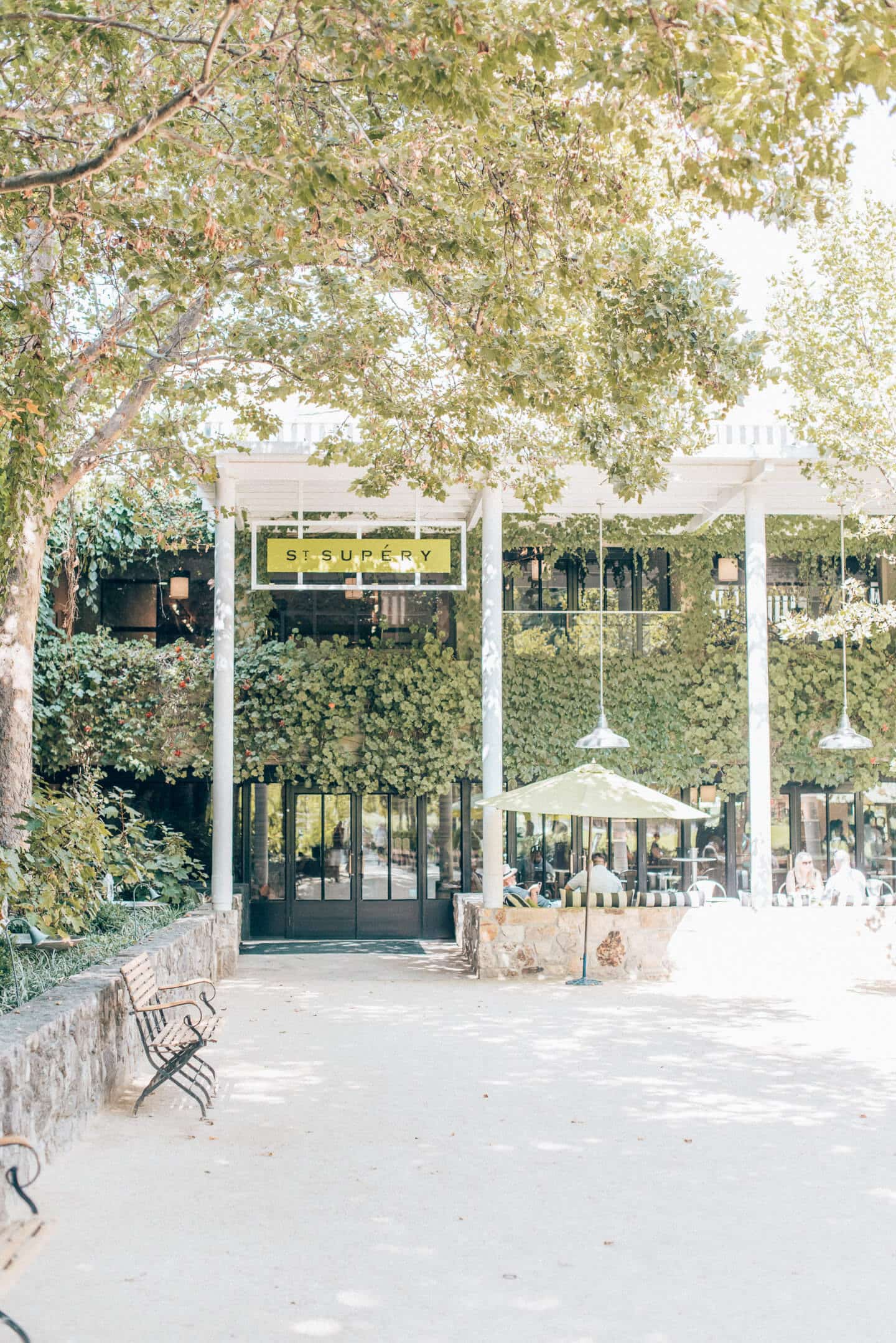 St. Supéry Winery: Stunning Estate and Vineyard in Napa