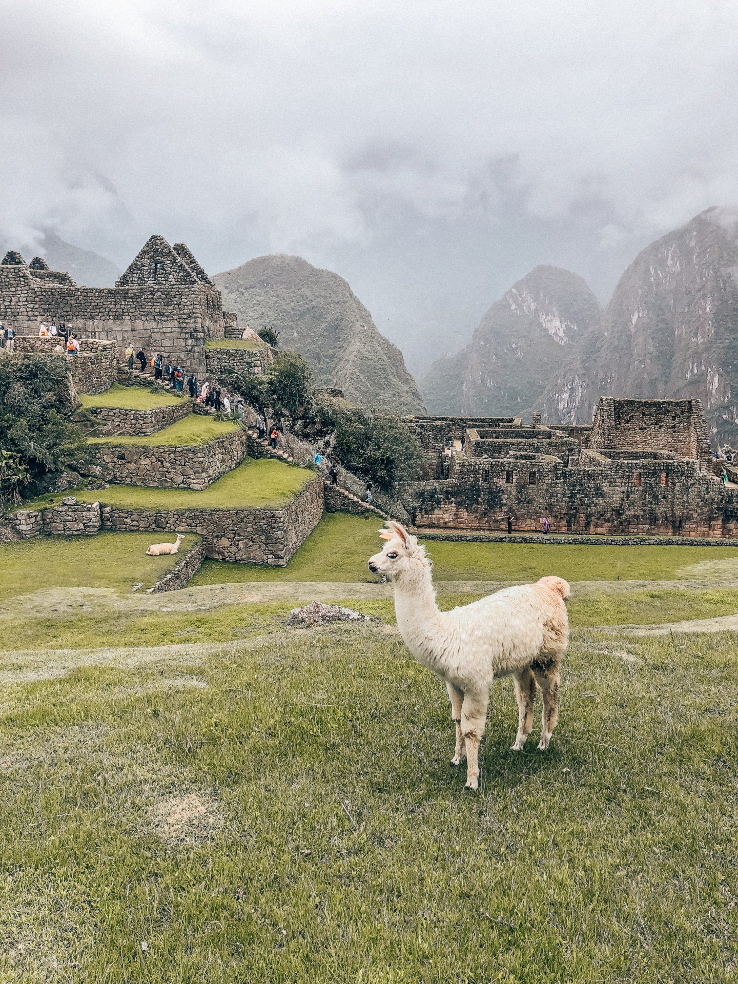 The Ultimate Machu Picchu Travel Guide featured by top San Francisco travel blog, What the Fab