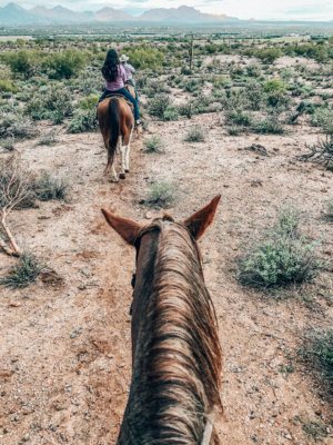 Things to Do in Scottsdale: 10 CAN'T-MISS Activities