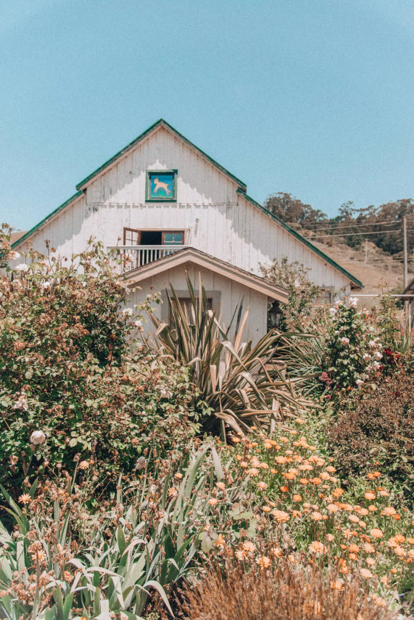Things to do in Pescadero, featured by top San Francisco travel blog, What the Fab