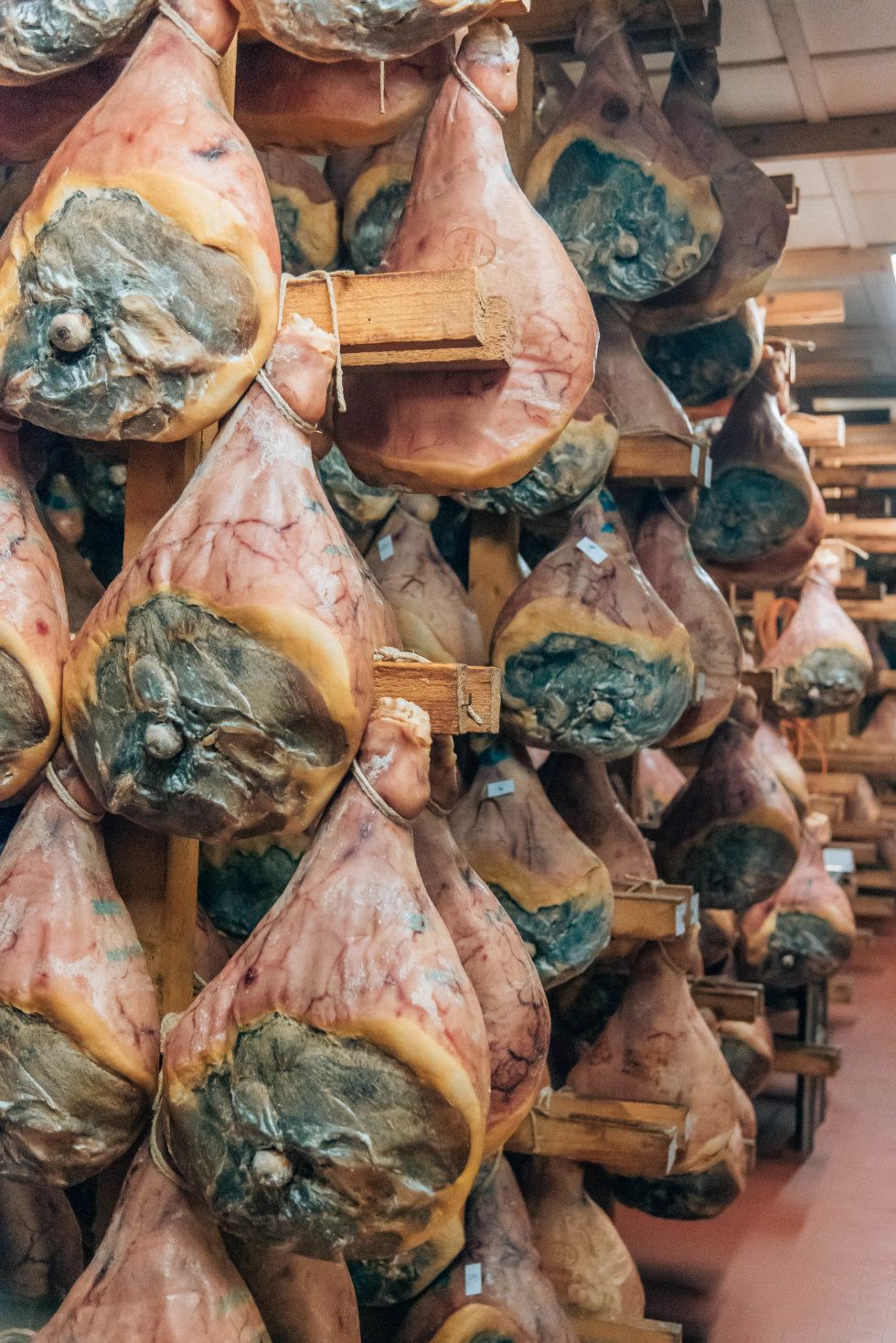 Where To Find The BEST Pasta In Bologna in 2023