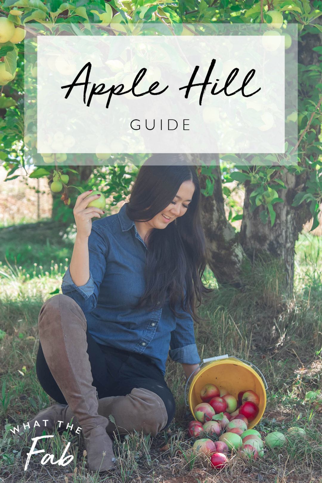 The TOP Apple Hill Orchards to Visit in 2023 (and Which Ones to Avoid)