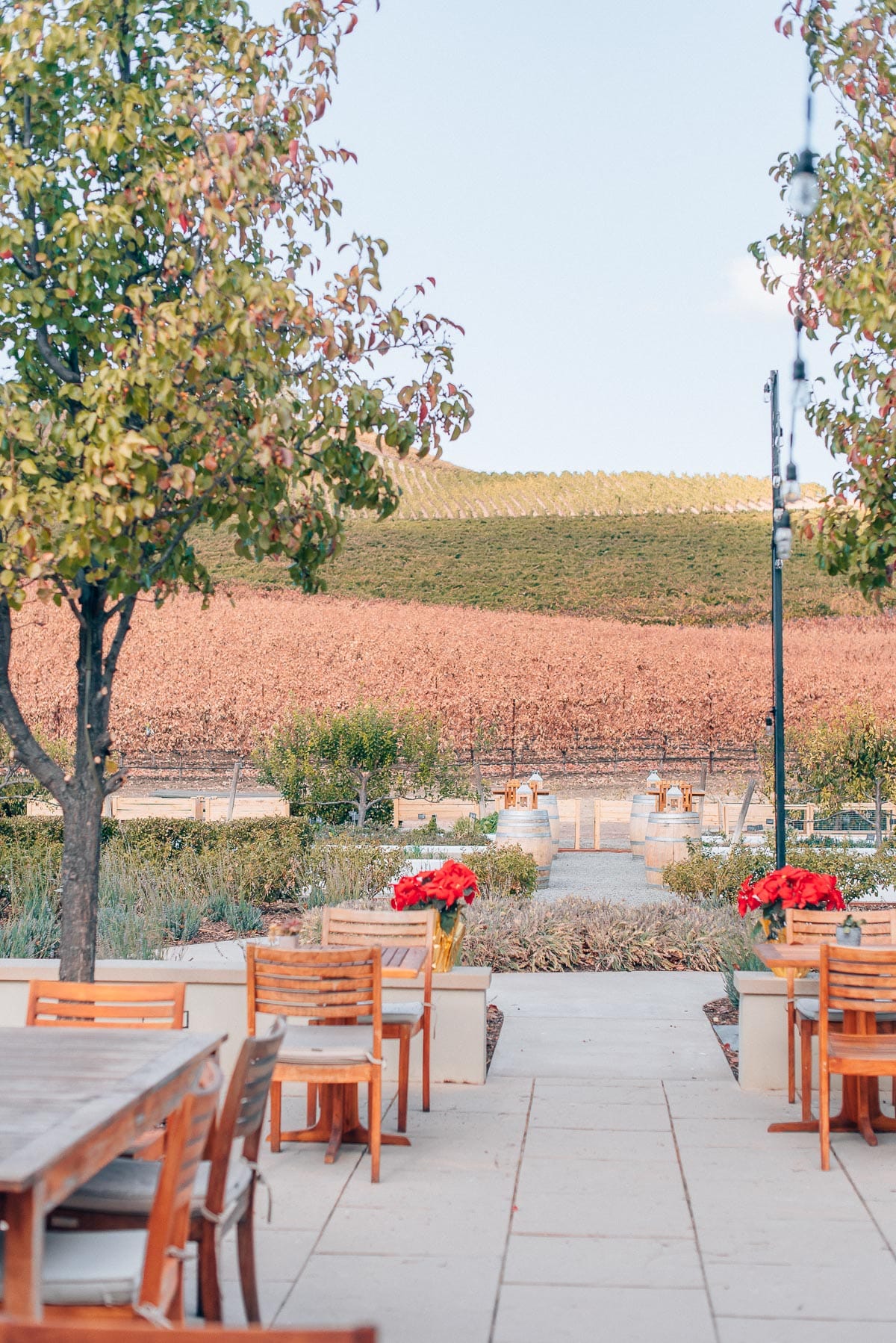Visiting Justin Winery in Paso Robles, California
