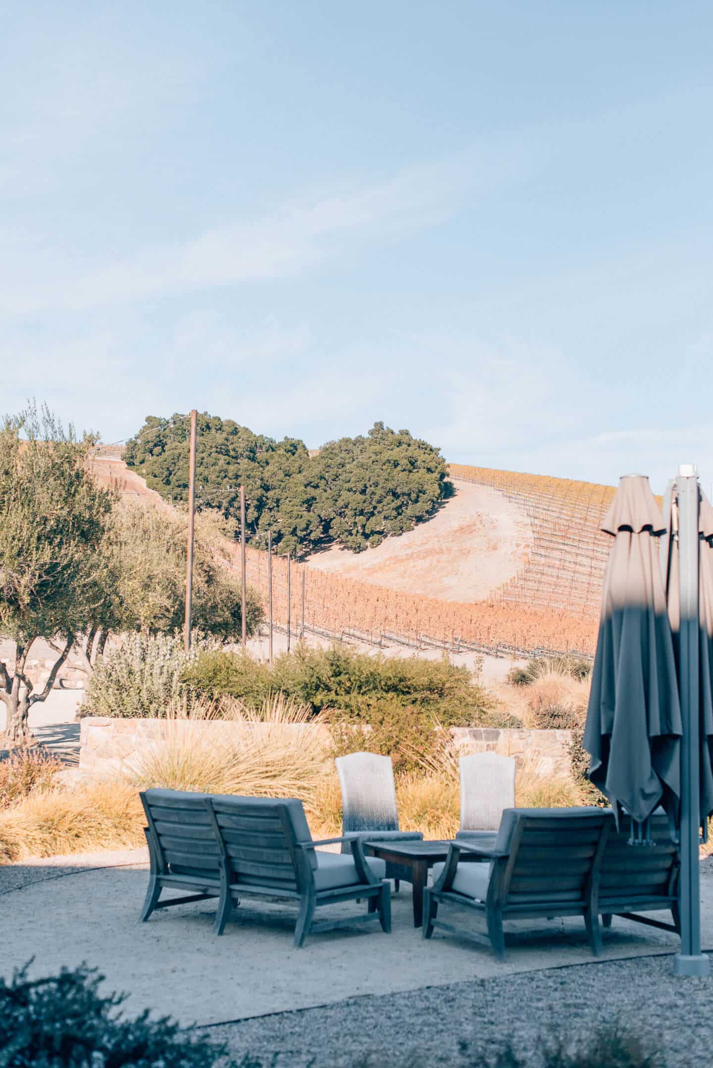 Best restaurants in Paso Robles, by travel blogger What The Fab