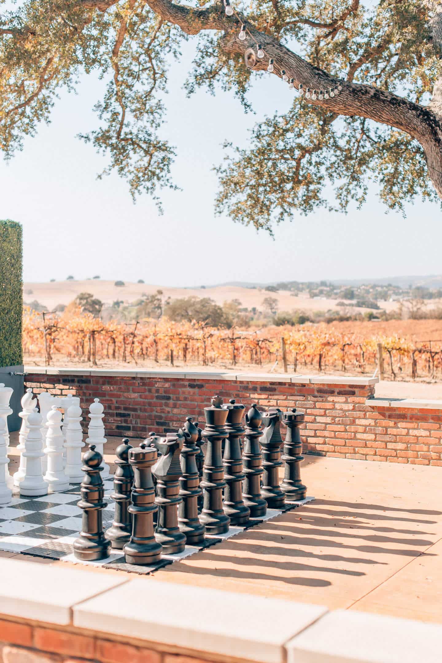 Best Paso Robles wineries, by travel blogger What The Fab