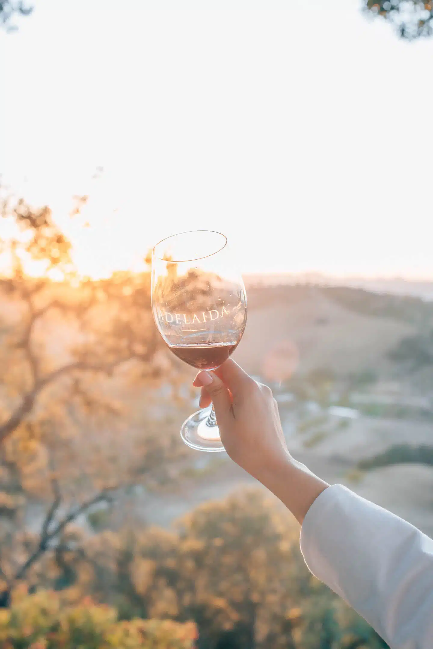Best Paso Robles wineries, by travel blogger What The Fab