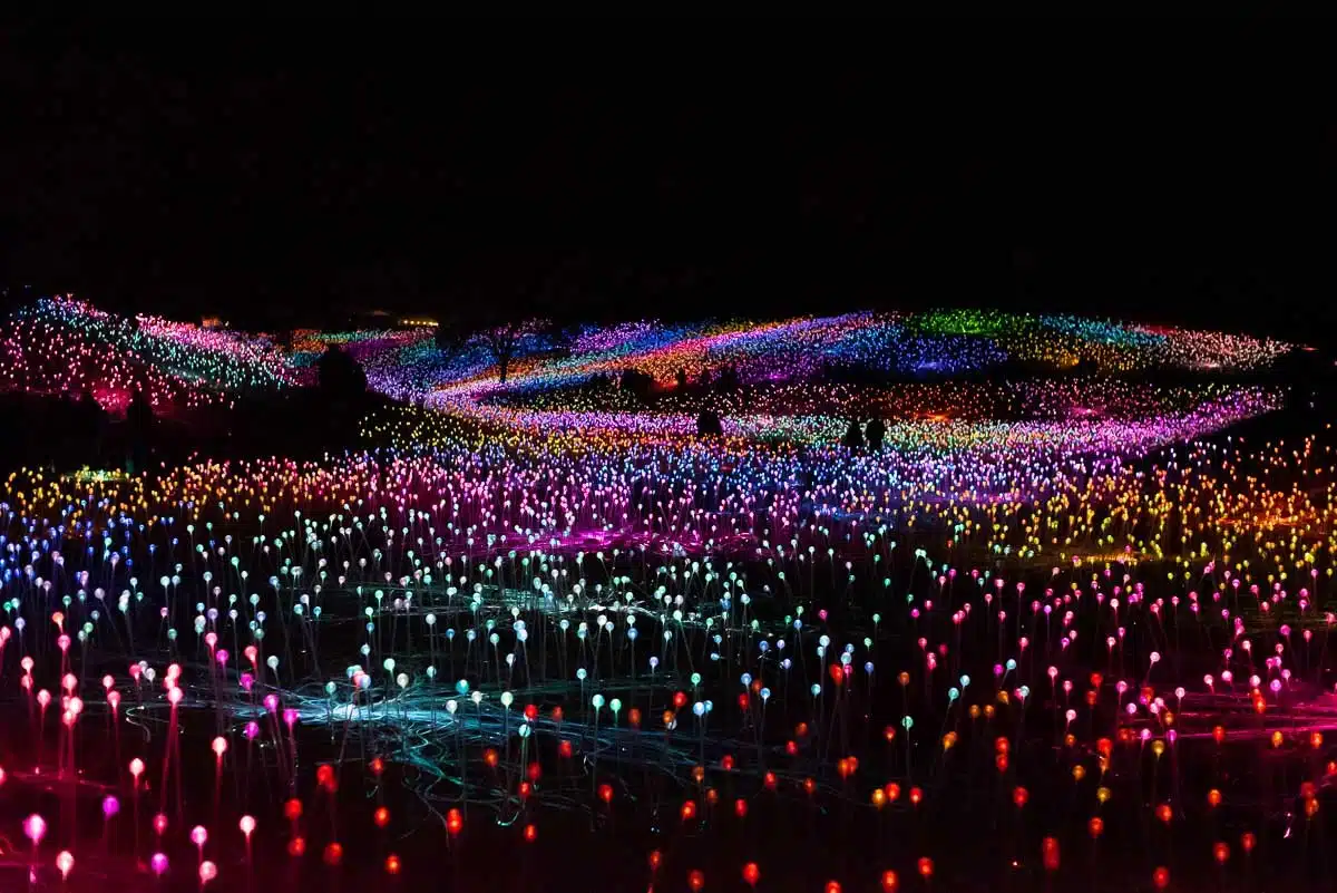 Sensorio Field of Lights Paso Robles light show, by travel blogger What The Fab