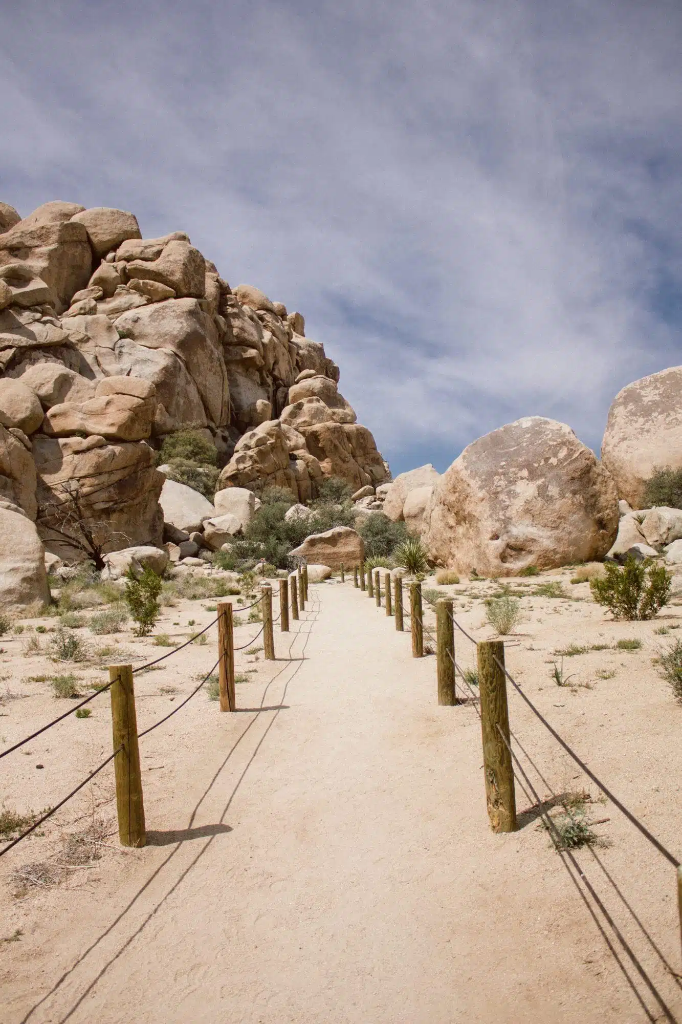Best Hikes in Joshua Tree, by Travel Blogger What The Fab