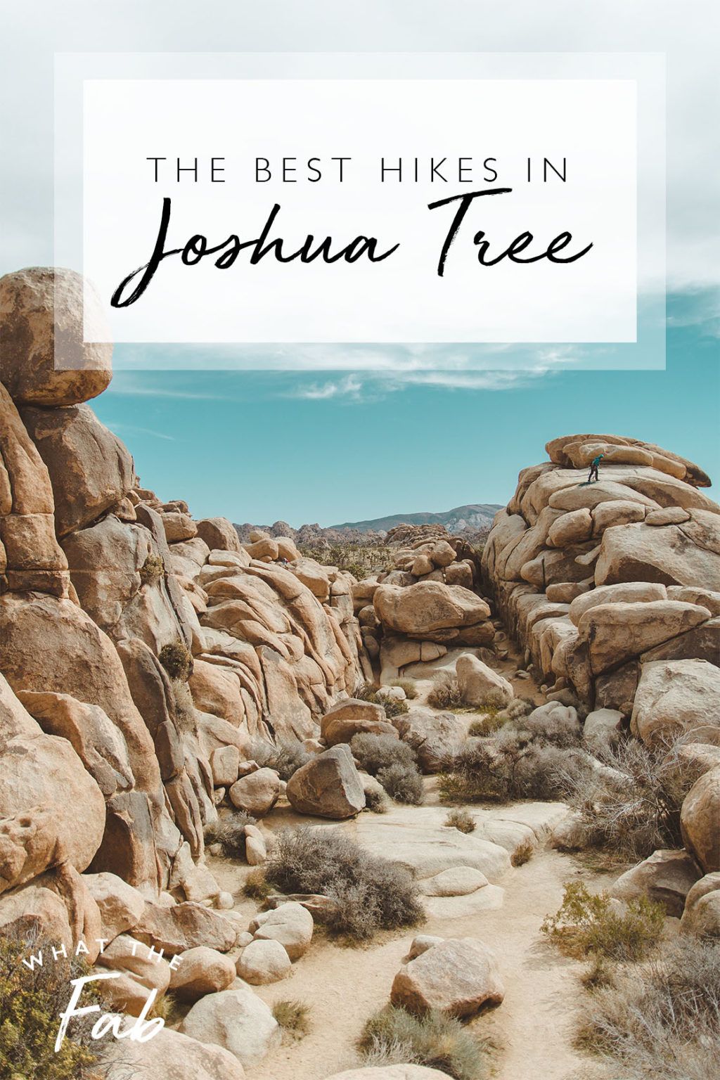 The Best Hikes in Joshua Tree for the ULTIMATE Adventure 2023