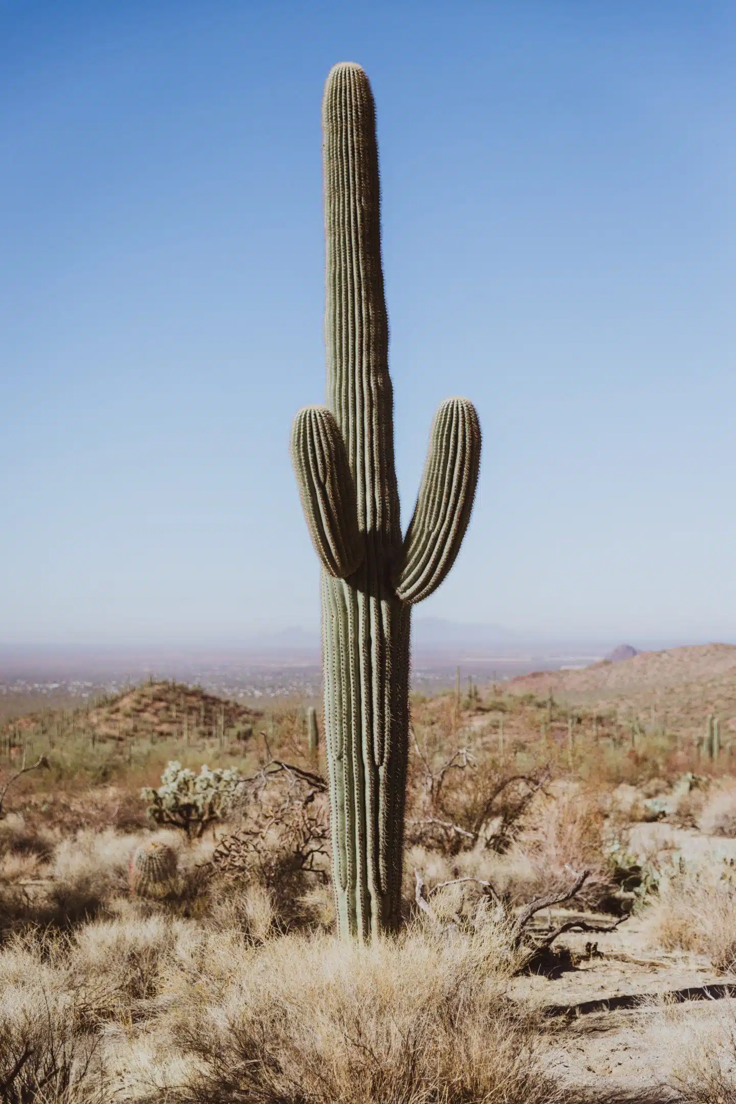 Day Trips from Phoenix, by Travel Blogger What The Fab