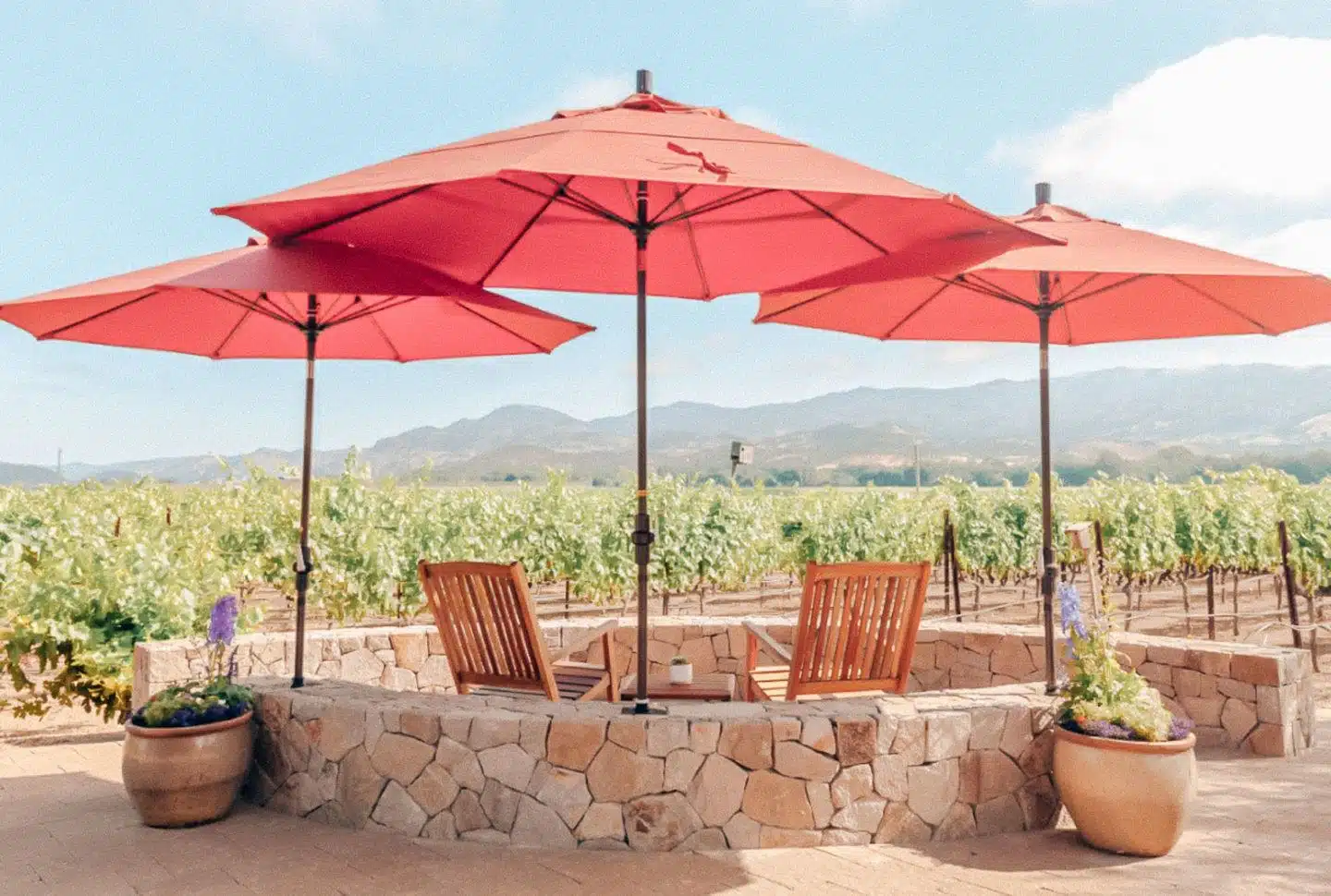 The best outdoor wine tasting in Napa, by travel blogger What The Fab