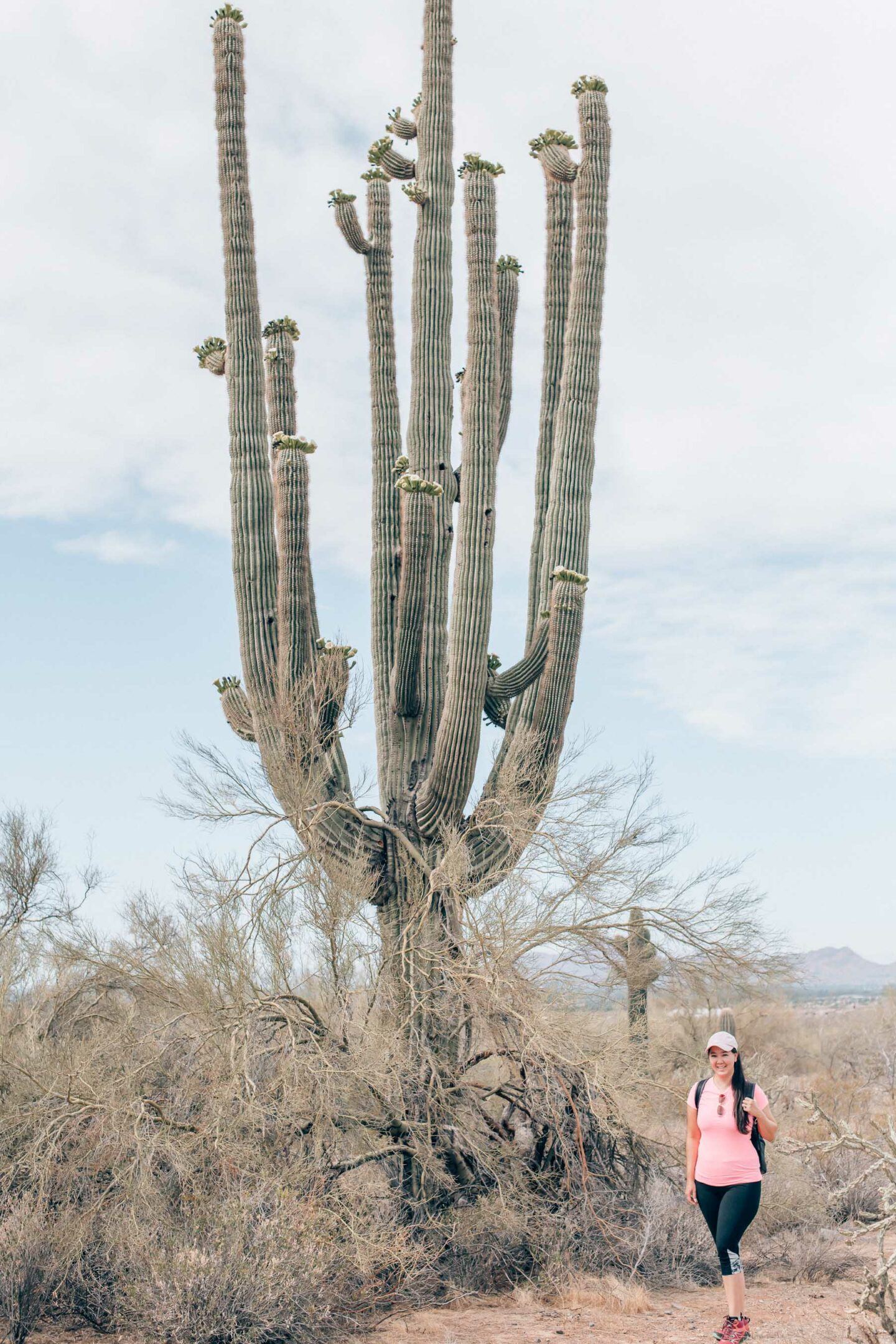 Palm Springs vs Scottsdale, by travel blogger What The Fab