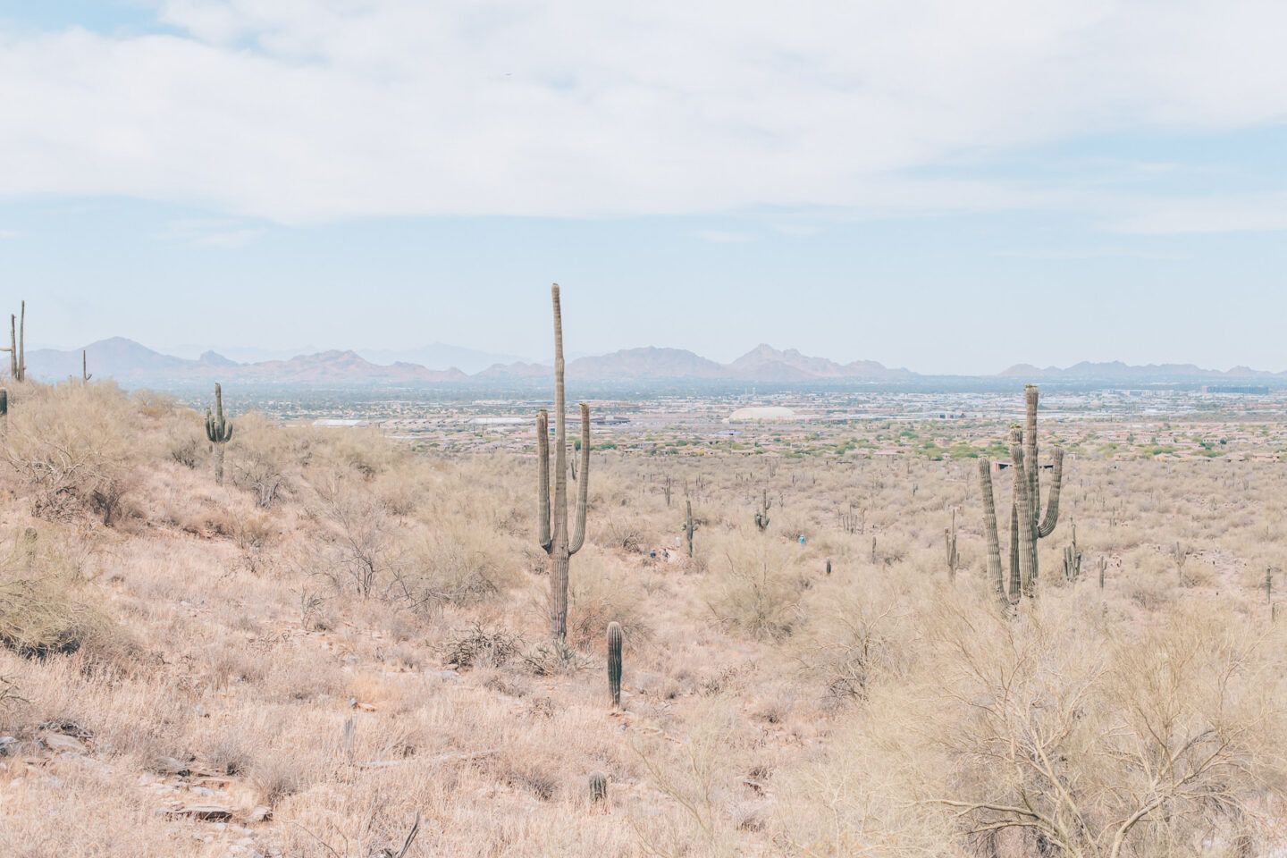 Outdoor Scottsdale activities, by travel blogger What The Fab
