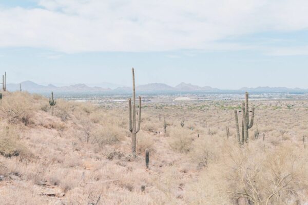 The Best Scottsdale Hiking Trails to Reconnect With Nature | 2023