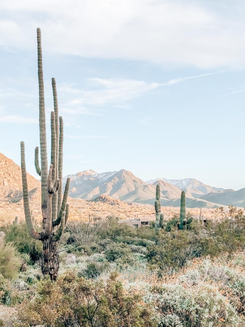 The Best Scottsdale Hiking Trails to Reconnect With Nature 2023