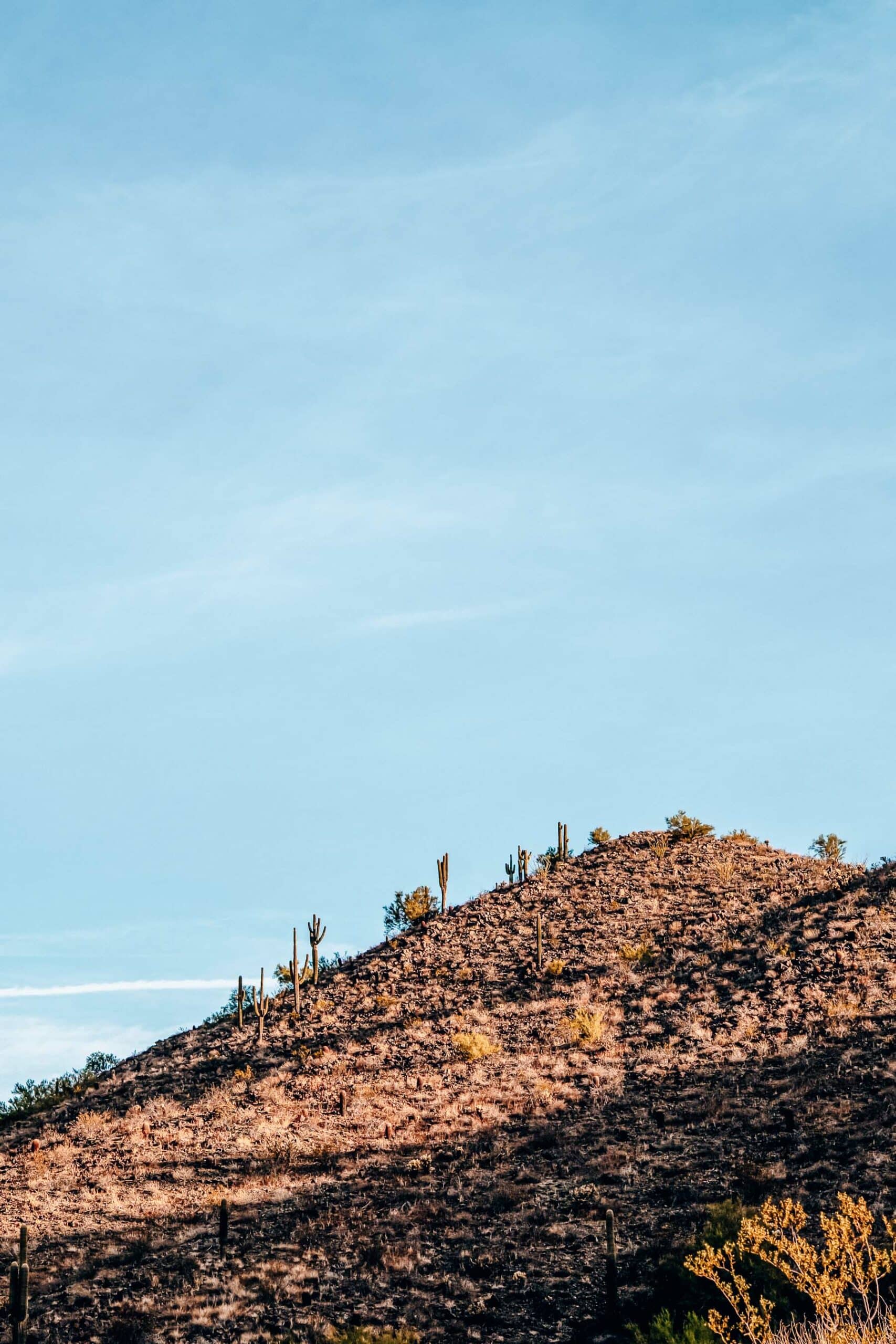 The Best Scottsdale Hiking Trails to Reconnect With Nature 2023