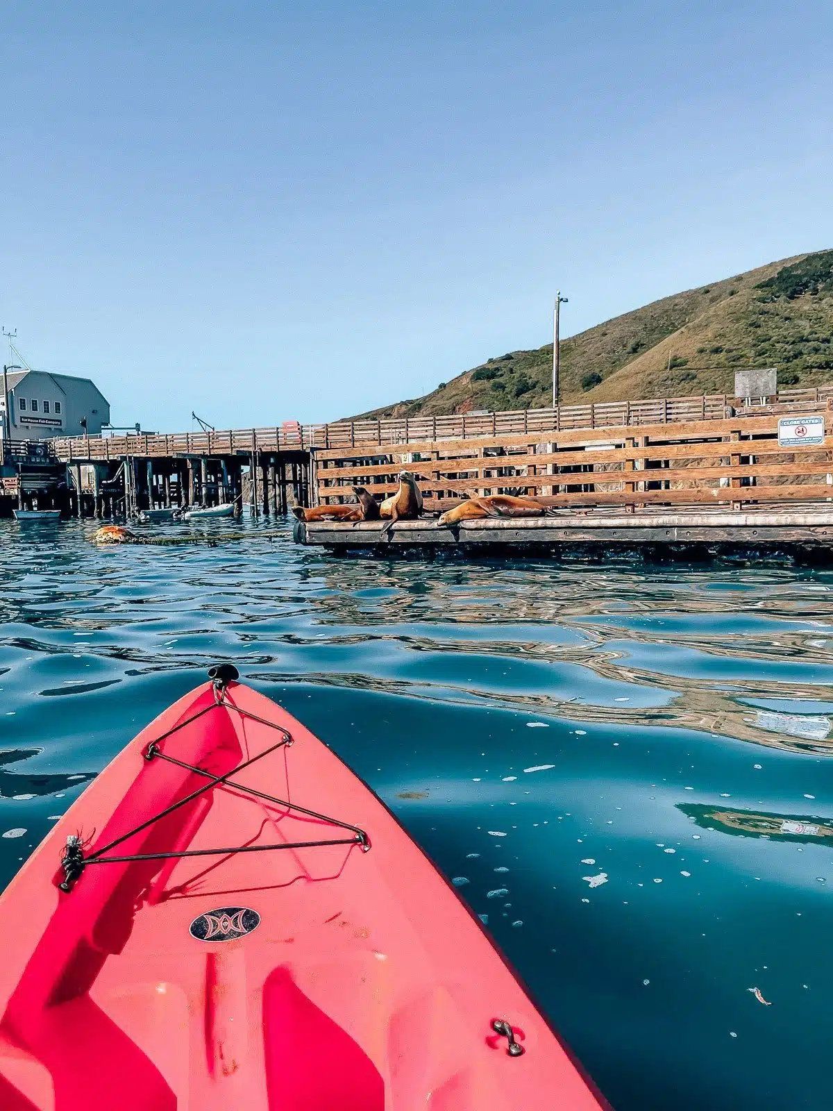 What to Do in San Luis Obispo, by Travel Blogger What The Fab