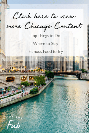 10 Famous Chicago Food Staples You Have to Try In 2023