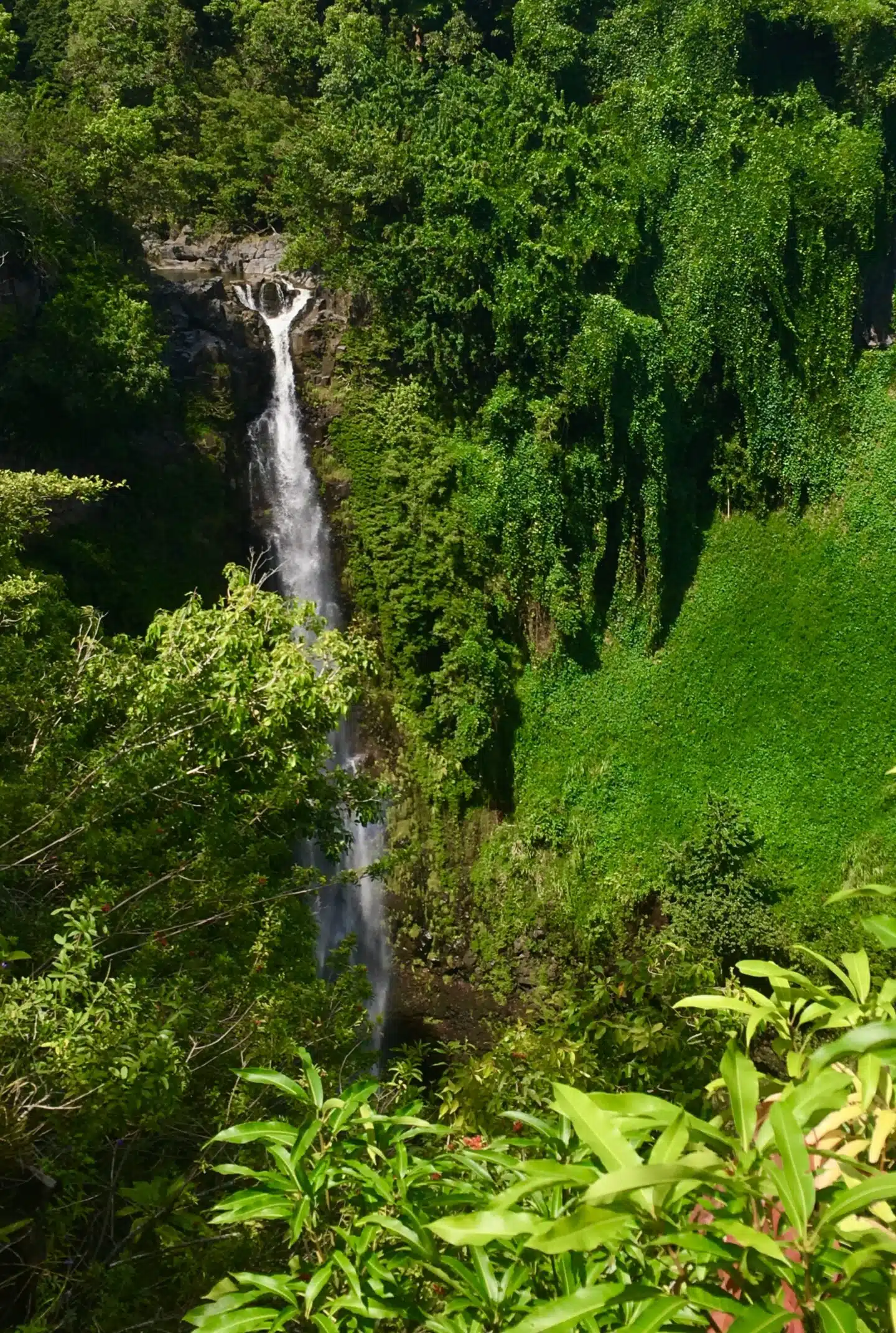 best hikes in Maui, by Travel Blogger What The Fab