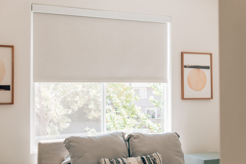 HONEST Somfy Motorized Shades Review Know Before You Buy