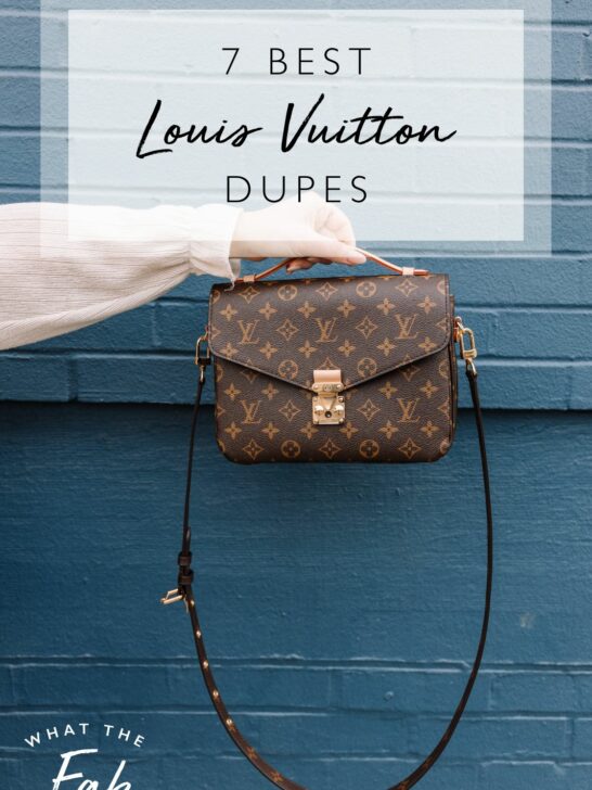Best Louis Vuitton Dupes by Blogger What the Fab