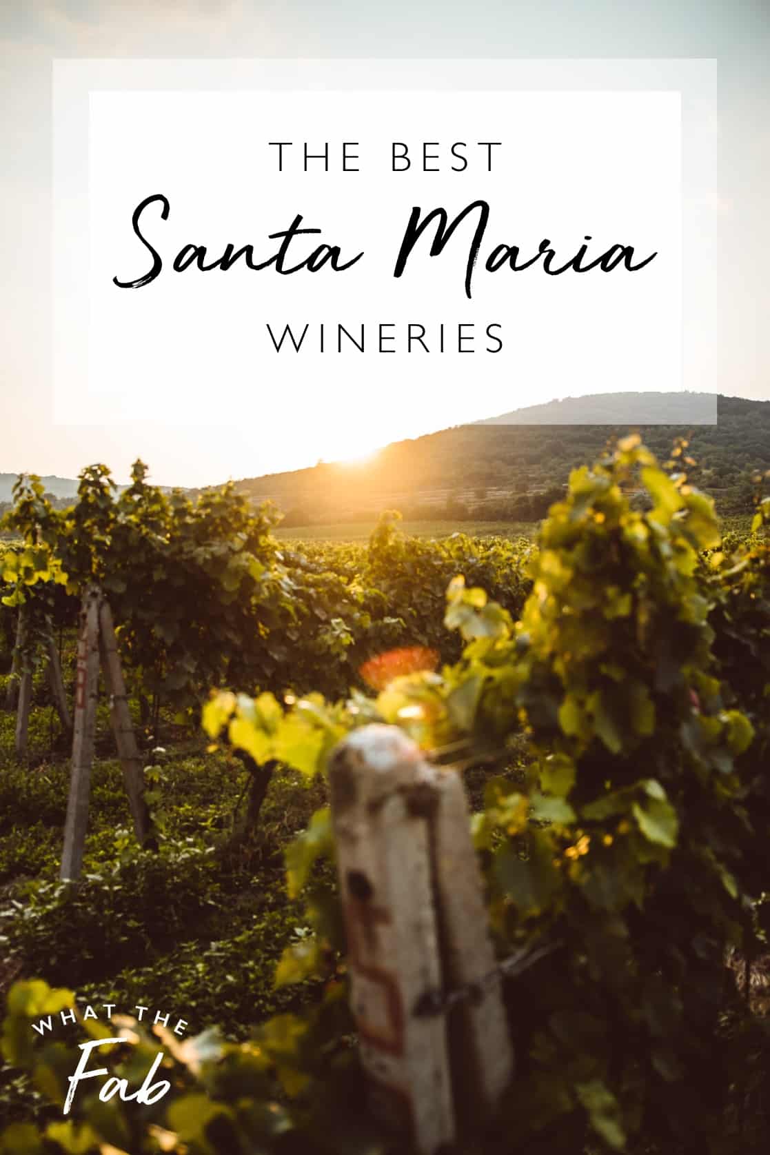 The best Santa Maria wineries to visit by travel blogger What The Fab