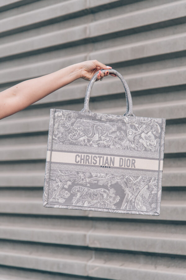 AMAZING Christian Dior Book Tote Dupe! You'll Love These Dupes