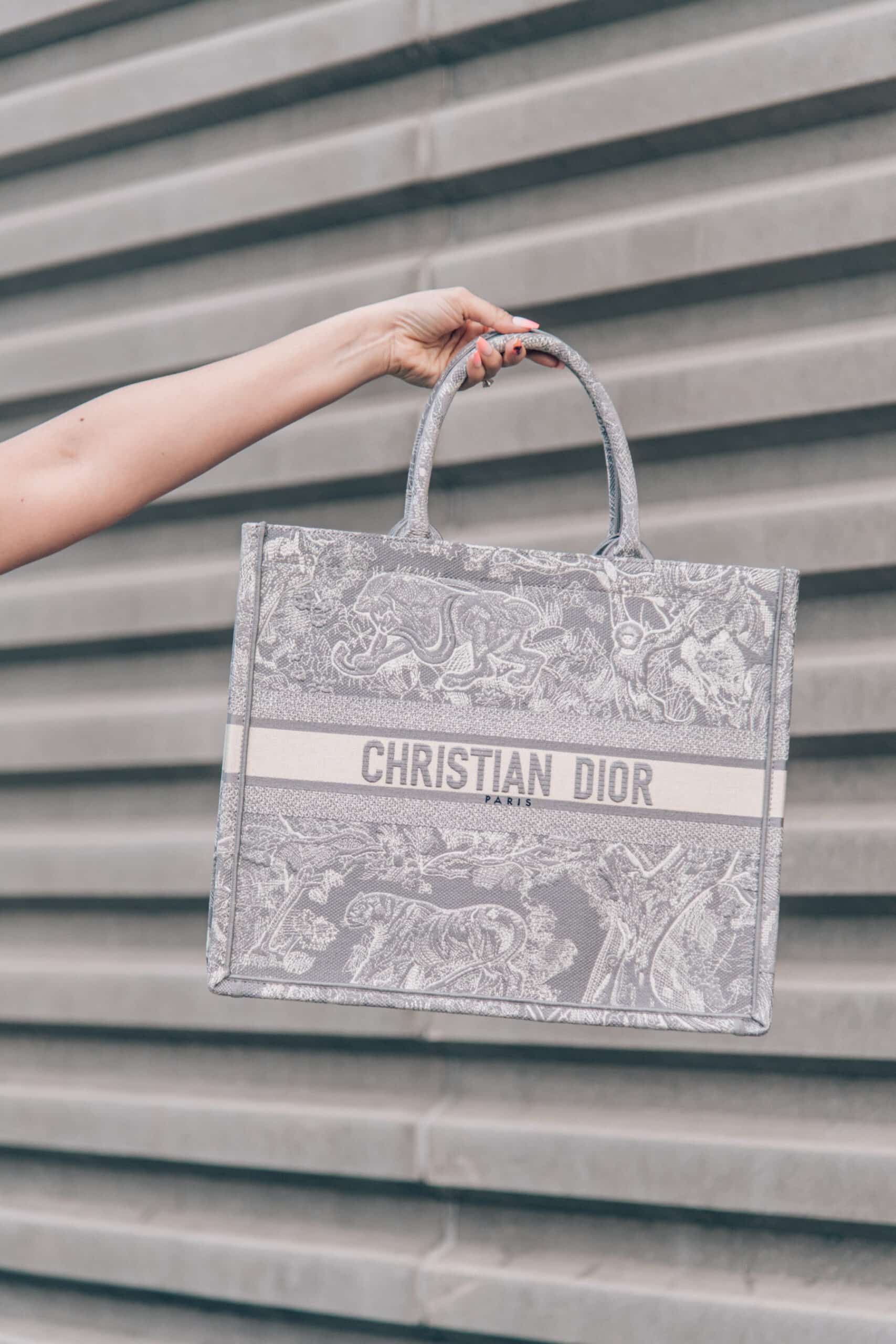 The best Christian dior tote bag dupe, by fashion blogger What The Fab