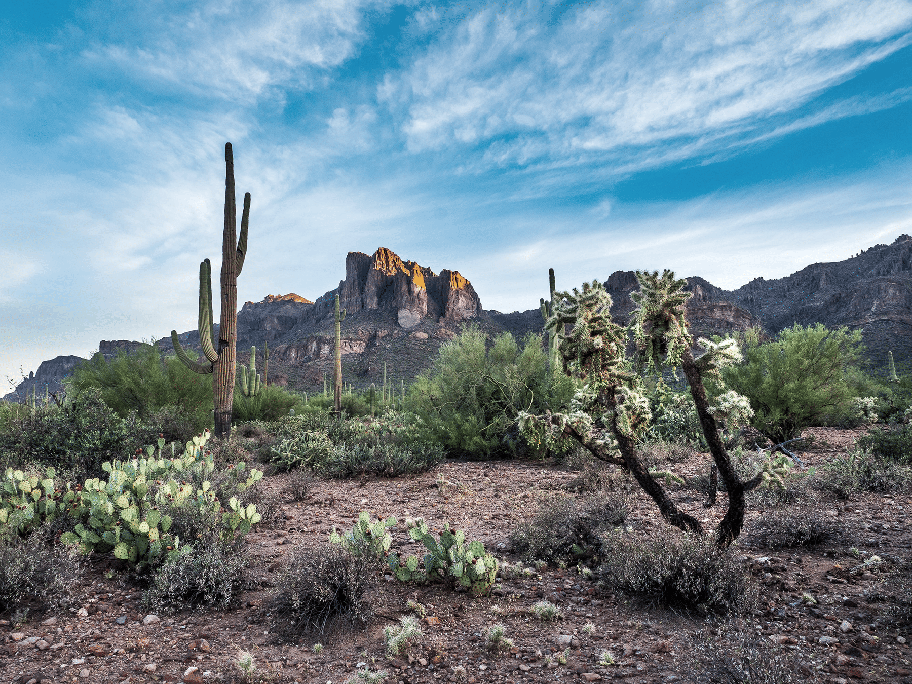 The Best Hiking in Phoenix for All Experience Levels