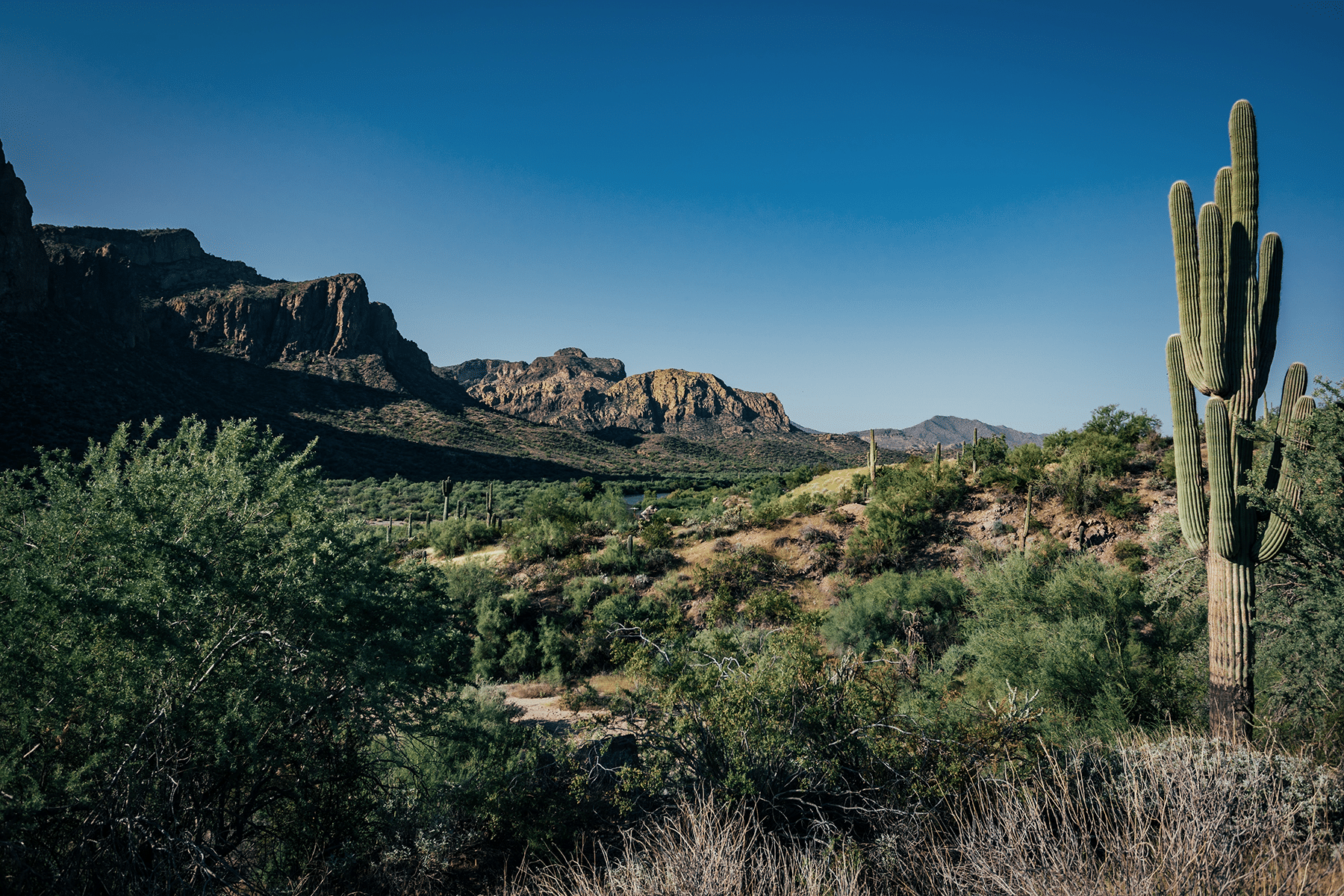 The Best Hiking in Phoenix for All Experience Levels