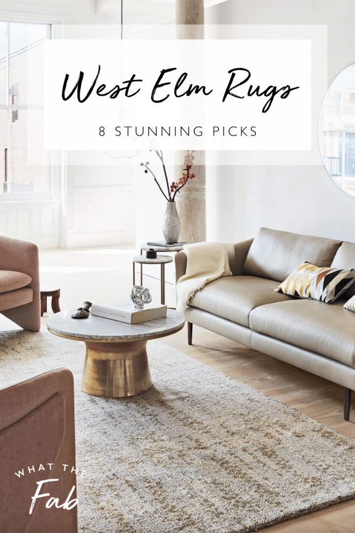 West Elm Rugs 8 STUNNING Picks