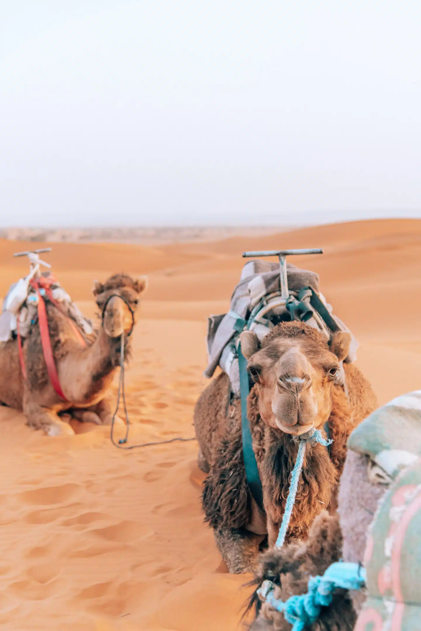 The best time to visit Morocco, by travel blogger What The Fab