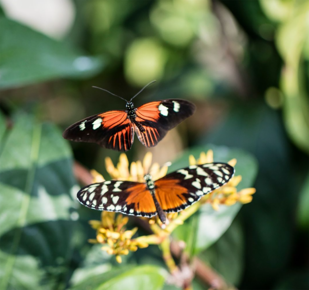 22 BEST Indoor Activities Chicago Has to Offer