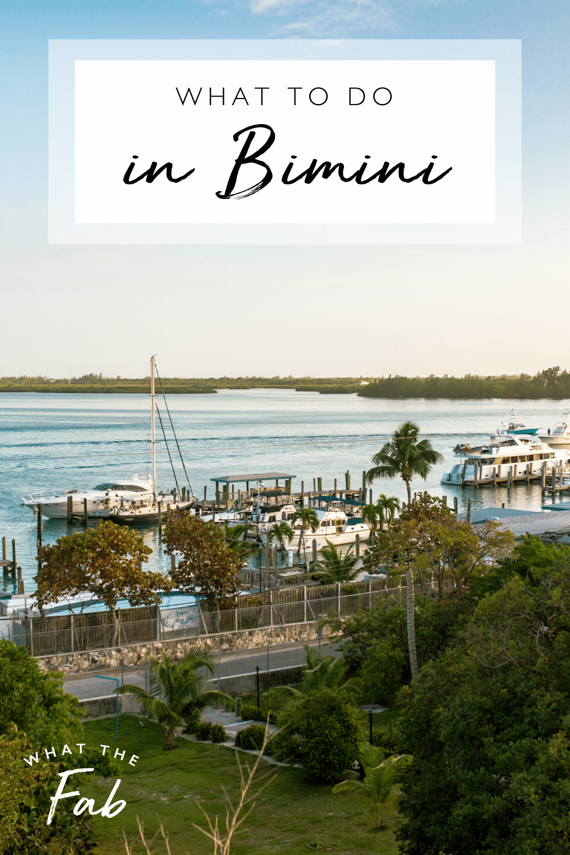 What to do in Bimini, by travel blogger What The Fab
