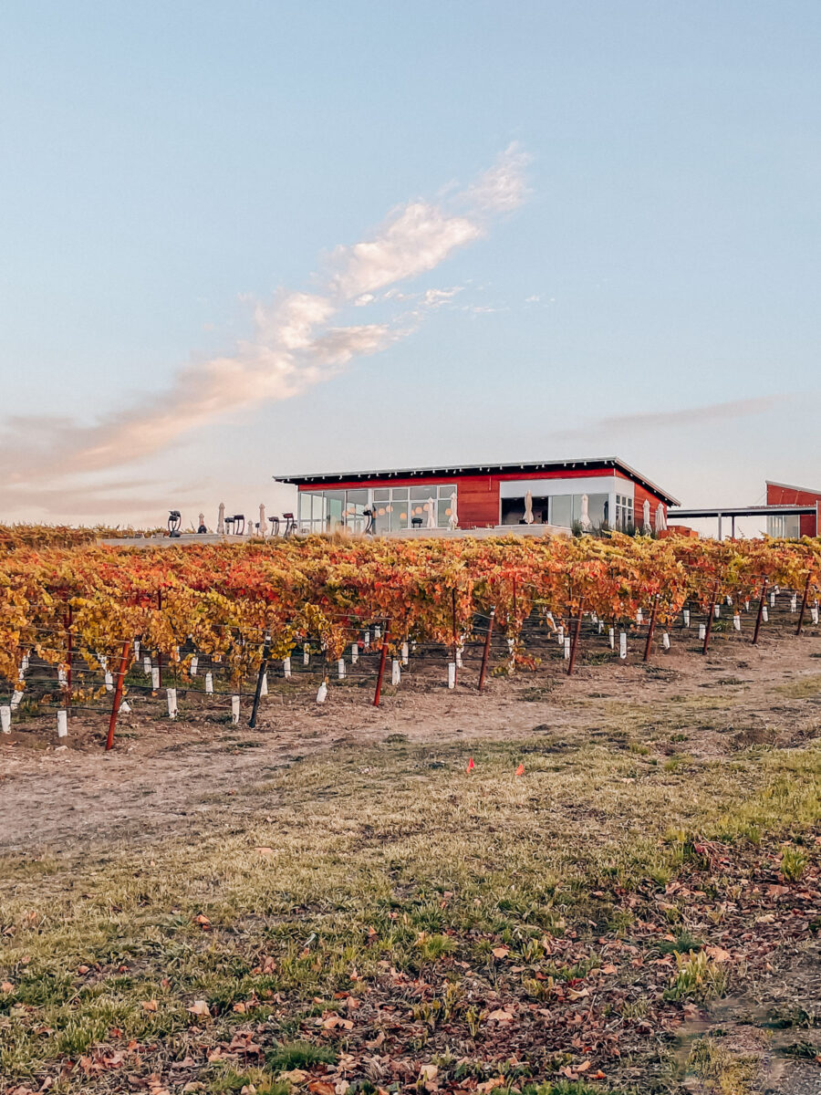 The best wineries in Carneros, by travel blogger What The Fab