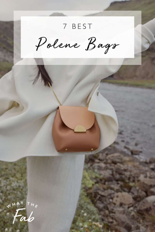 Polene Bags A Guide to the 7 BEST Polene Bags