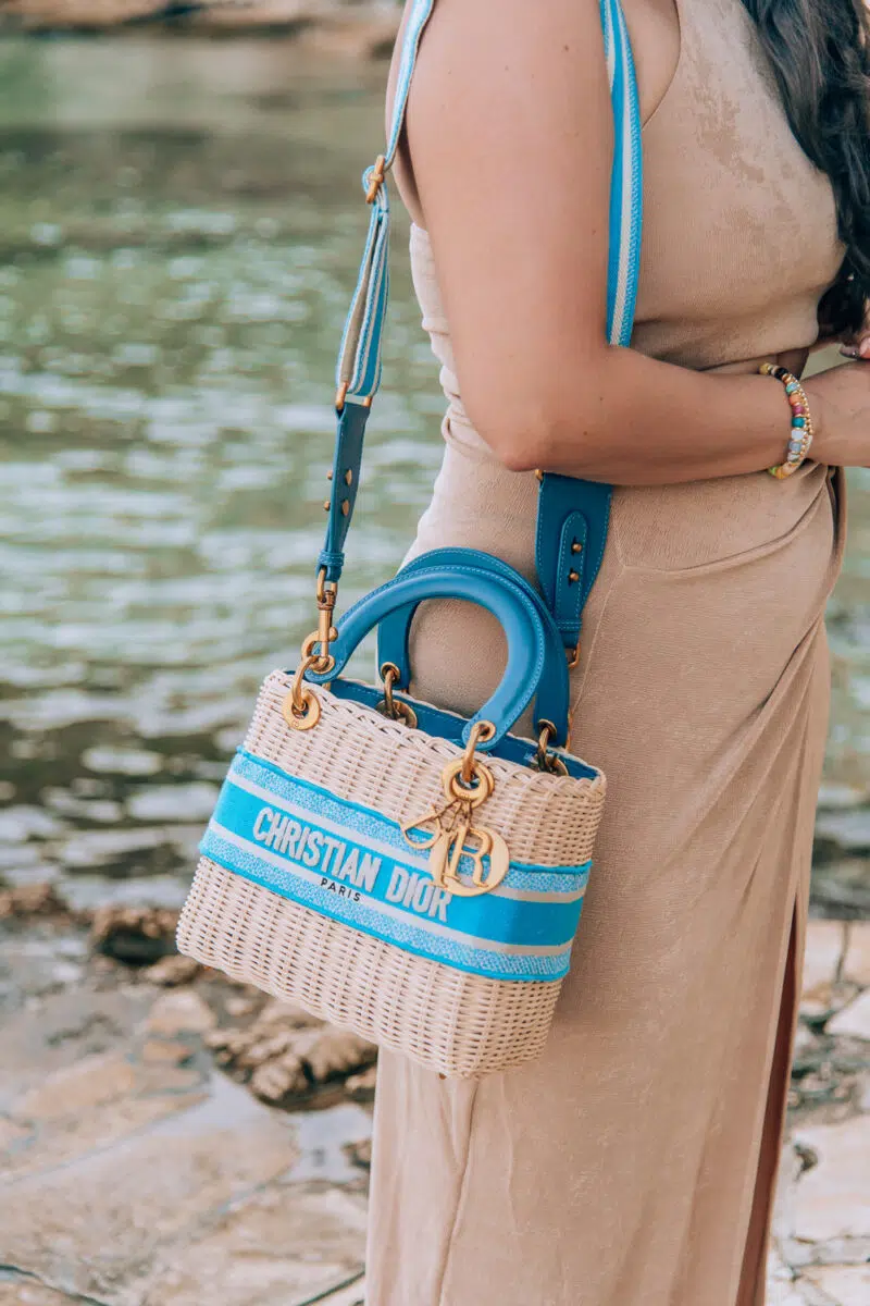 Where to find the best replica bags online, by fashion blogger What The Fab