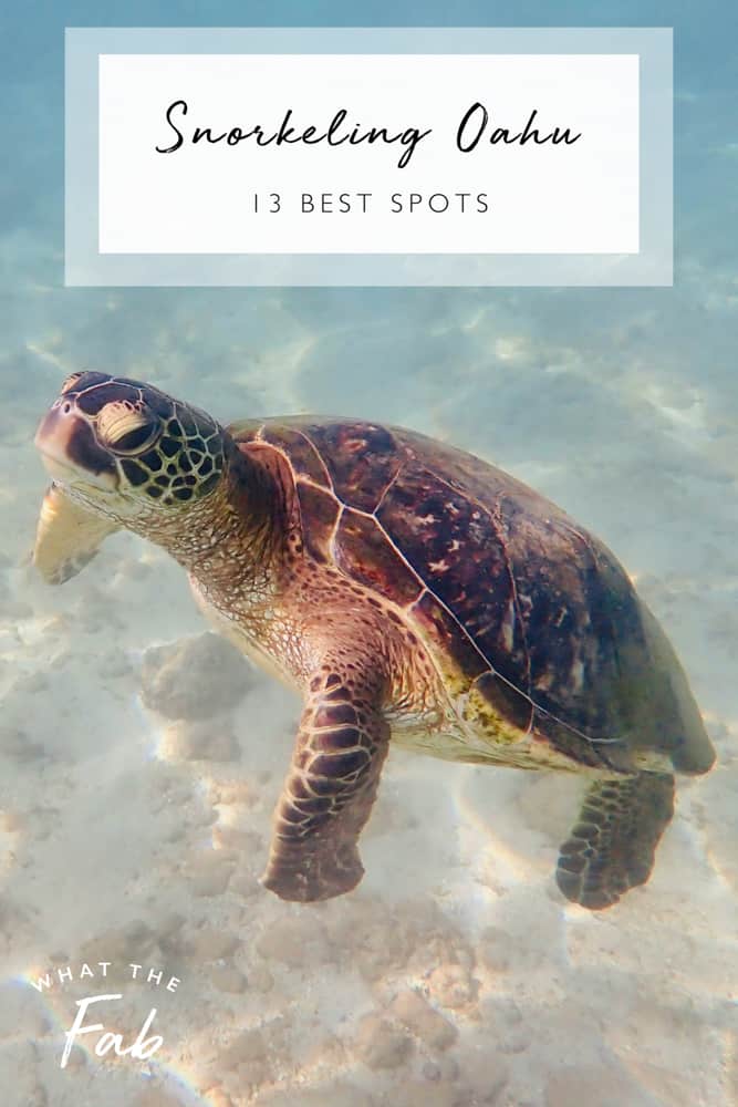 Best snorkeling Oahu spots, by travel blogger What The Fab