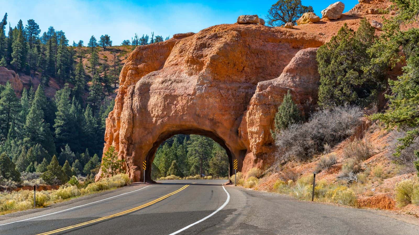 Best US road trips, by travel blogger What the Fab