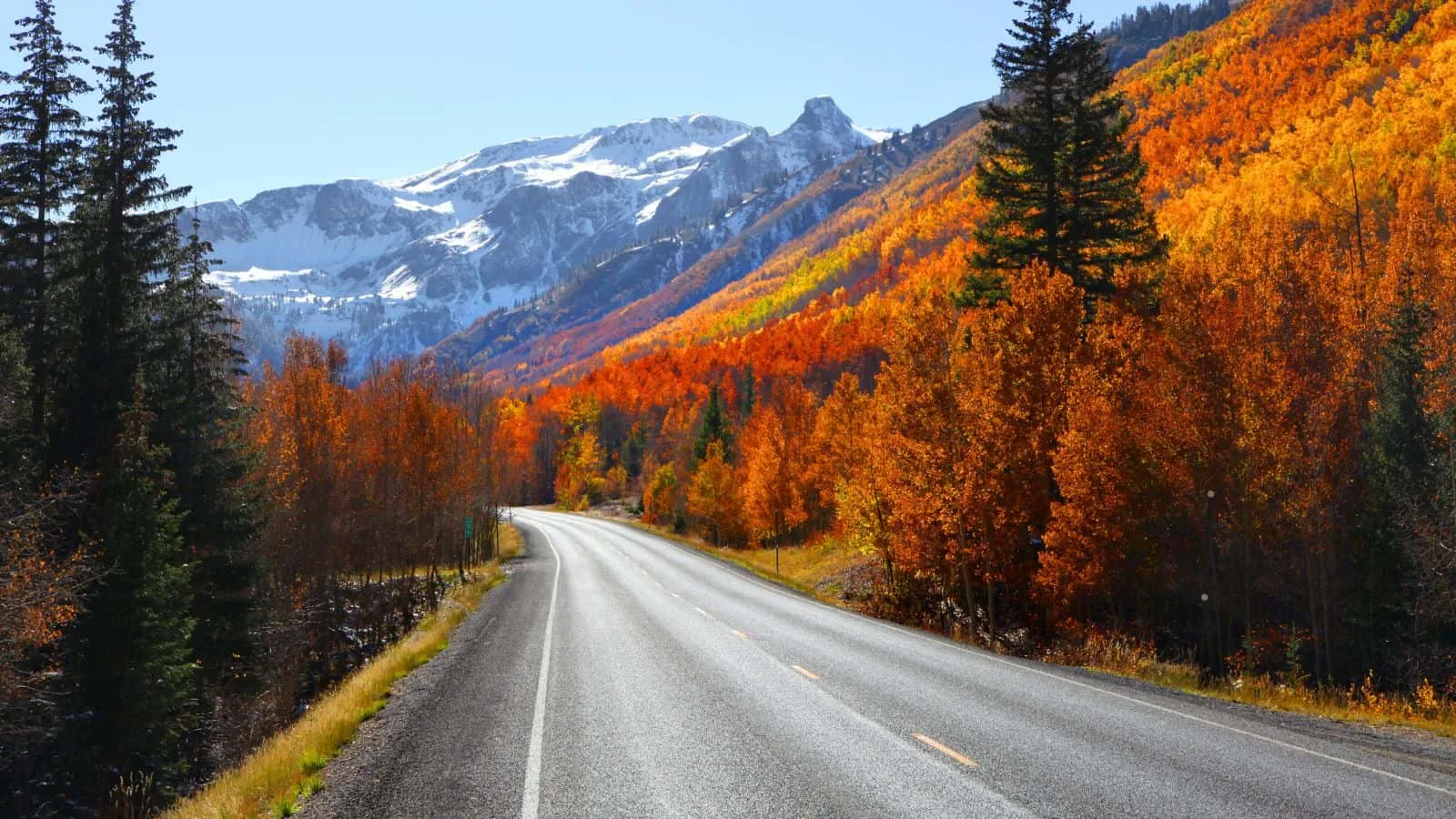 Best US road trips, by travel blogger What the Fab