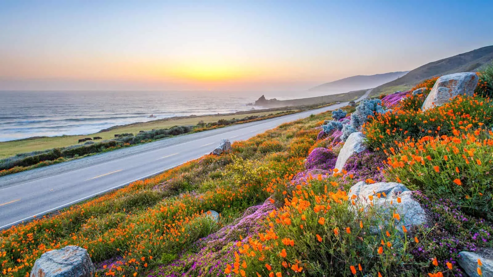 Best US road trips, by travel blogger What the Fab