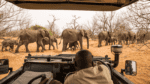 15 Magical African Safaris To Experience Before Turning 70